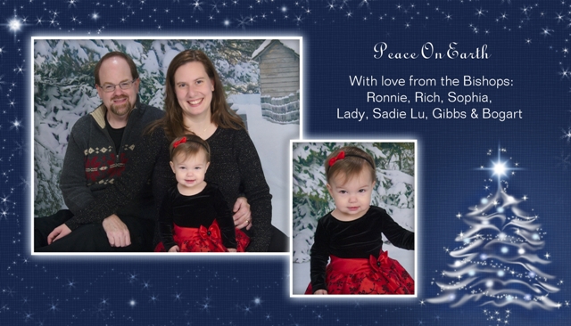 Holiday card - blue